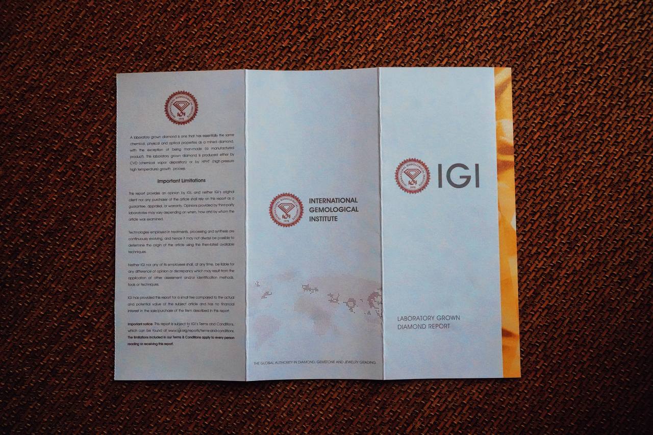 IGI Certification Report